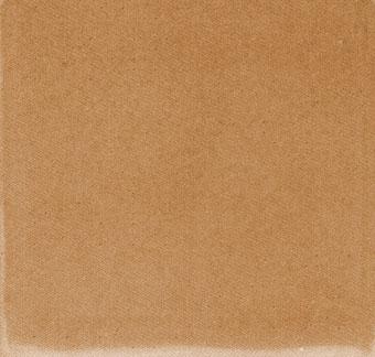 Sahara